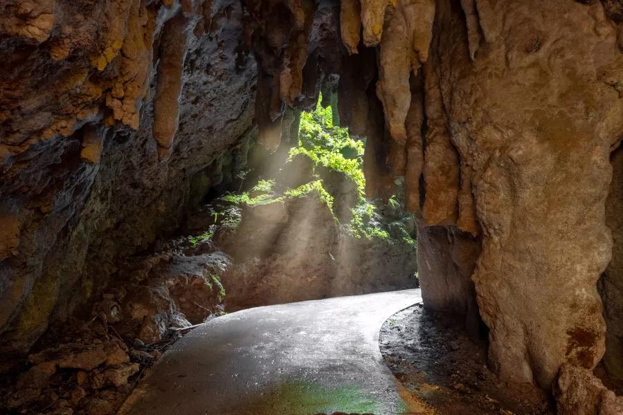 Río Camuy Cave Park natural limestone cave attraction in Puerto Rico